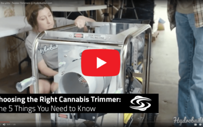 Choosing the Right Cannabis Trimmer: 5 Things You Need to Know