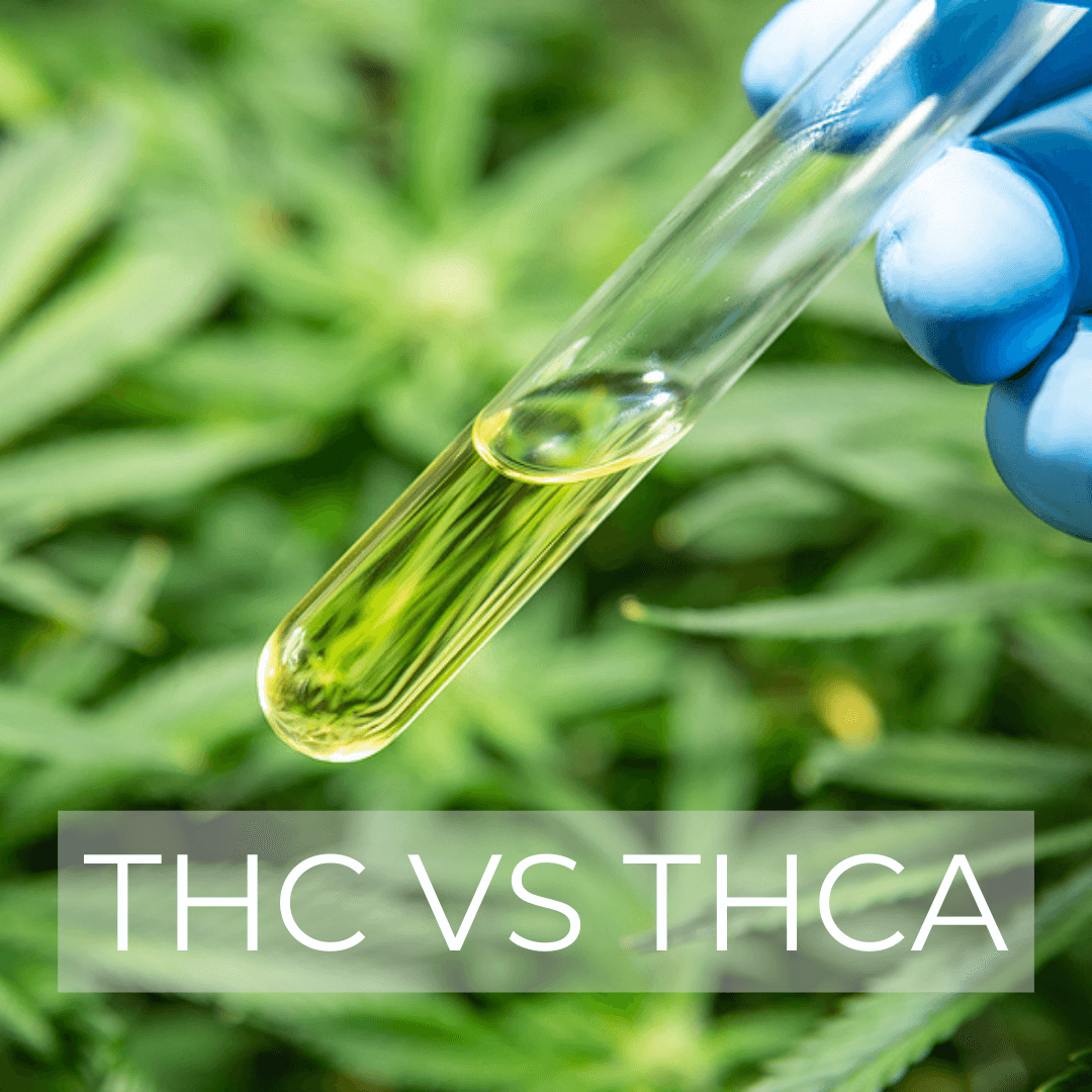 Difference Between THC And THCA - Twister Technologies